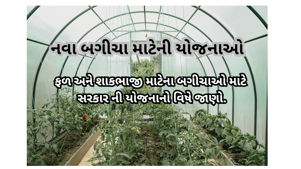 નવા બગીચા માટેની યોજનાઓ  : ફળ અને શાકભાજી માટેના બગીચાઓ માટે સરકાર ની યોજનાનો વિષે જાણો.